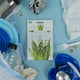 thumbnail image 3 of Bolsita aromática WillowBrook Fresh Scents Lily of the Valley, 3 of 3