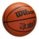 thumbnail image 2 of Balón Basketball Jr. NBA DRV Fam Tamaño 5, 2 of 6