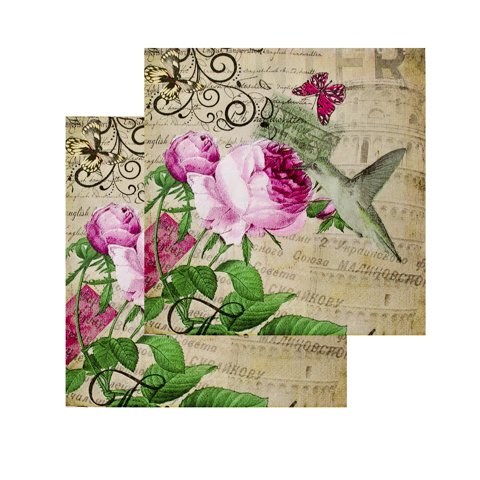 Concepts Life - Pack 4 Paquetes De Servilleta Diseño Picaflor