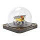 thumbnail image 4 of 1:16 Escala Yutu Lunar Landing Modelo 3D Hobby Science Collection Pantalla De Juguete, 4 of 5