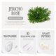 thumbnail image 4 of Sérum facial efilow Jericho Rose Biome hidratante 50 ml, 4 of 8