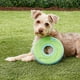 thumbnail image 2 of Juguete para perros Flying Disc Chuckit' Zipflight, tamaño mediano, naranja/azul, 2 of 8