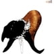 thumbnail image 1 of Cornamentas negras, 1 of 1