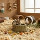 thumbnail image 3 of Timothy Snack Bowl Para Roedores Conejos Hamster Cobaya 200g, 3 of 8