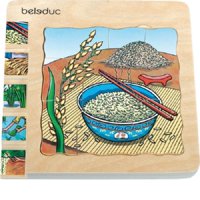 Seigard - Puzle De Capas El Arroz