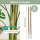 thumbnail image 2 of Soporte para plantas Moss Pole Monstera, 70 cm, flexible, paquete de 2 unidades, K-Brands, 2 of 6