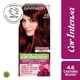 thumbnail image 1 of Coloración Cabello 4.6 Castaño Rojizo, 1 of 1