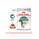 thumbnail image 2 of Royal Canin Adult Instinctive +7 Sachet 85gr, 2 of 2
