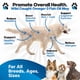 thumbnail image 2 of Suplemento de aceite de pescado Plano Paws Omega 3 para perros 240 ml, 2 of 8