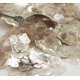 thumbnail image 4 of Meyer Imports – Purpurina de Mica Natural Clear Pearl – 28 g, 4 of 8