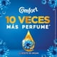 thumbnail image 4 of Suavizante Líquido Concentrado Esencial Botella, 500 ml, 4 of 6