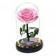 thumbnail image 1 of Ilumine Una Rosa En Una Cúpula De Cristal Regalos Del Día De San Valentín Para Su Flor Rosa, 1 of 3