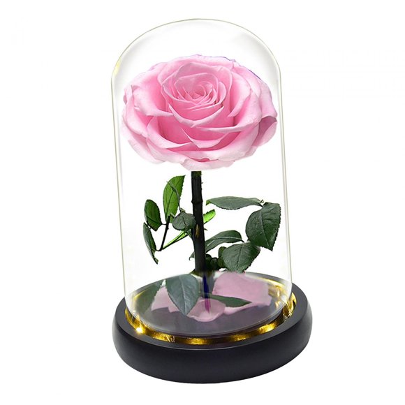 Ilumine Una Rosa En Una Cúpula De Cristal Regalos Del Día De San Valentín Para Su Flor Rosa