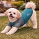 thumbnail image 4 of Camiseta para perros Pet Life Active Hybreed Reflective Performance, 4 of 9