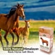 thumbnail image 4 of Himalayan Nature Bloque de Sal de Roca del Himalaya 100% Natural - Ladrillo de Sal Mineral para Lamer, Ideal para la Salud y Nutrición de Animales, Caballos y Ciervos | 2,3-3,6 kg, 4 of 9