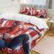 thumbnail image 3 of Graffiti Spider-Man 3 Piece Sets Full/Queen Size - Reversible Microfiber Quilts with 2 Shams Soft Lightweight Bedspread Coverlet Comforter for All Season Bed Sheets, 3 of 5