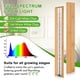 thumbnail image 2 of Bambú de espectro completo Grow Light FOXGARDEN® para plantas de interior, 2 of 3