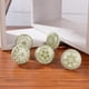 thumbnail image 3 of Tiradores de Gabinete Ajuny 55 mm Verde y Blanco Cerámicos – Set de 10, 3 of 8