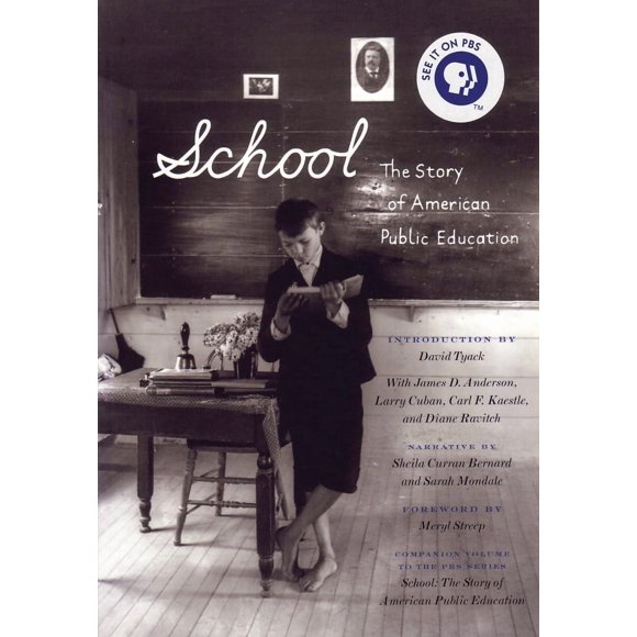 Libro Beacon Press School: La historia de la educación pública estadounidense