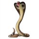 thumbnail image 3 of Figura de juguete Gemini&Genius King Cobra Safari Animal 16,5 cm, 3 of 9