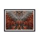 thumbnail image 1 of Cuadro Plumas Café Cobre con Marco Negro, 1 of 1