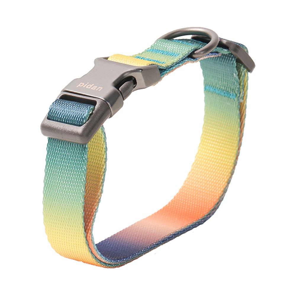 Collar Para Perro Resistente Y Ajustable - Pidan®