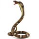 thumbnail image 1 of Figura de juguete Gemini&Genius King Cobra Safari Animal 16,5 cm, 1 of 9