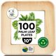 thumbnail image 1 of Platos desechables KoalaLove Palm Leaf Bamboo de 25 cm, paquete de 100, 1 of 8