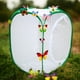 thumbnail image 3 of Jaula grande y alta para mariposas, terrario plegable, jaulas emergentes, red para insectos y mariposas para criar., 3 of 8