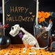 thumbnail image 1 of Perro esqueleto deco 38cm, 1 of 5