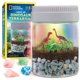 thumbnail image 1 of Kit de terrario de dinosaurios con luz USB National Geographic, 1 of 3
