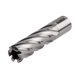 thumbnail image 2 of Cortador anular DEWALT DWAC02012 HSS 19 mm Weldon 50,8 mm, 2 of 2