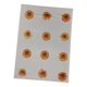 thumbnail image 4 of 12 Flores Prensadas Secas Para Manualidades, Marcapáginas, Sobres, Fabricación De Jabón, Color Naranja, 4 of 5