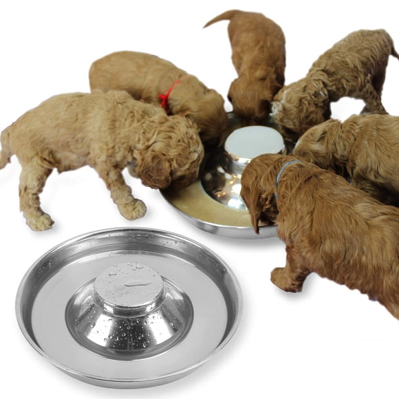Tazones para perros Podinor 30 cm, paquete de 2, acero inoxidable