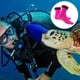 thumbnail image 4 of Calcetines de buceo de neopreno de 3 mm, calcetines de aletas de agua ultra premium, calcetines de snorkel con correas de ajuste para playa, natación, surf y deportes acuáticos., 4 of 8
