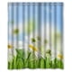 thumbnail image 1 of Cortina de ducha con diseño de margaritas blancas y flores de cosmos bajo el sol, hierba verde, juego de cortinas de baño con ganchos, tamaño 60 x 72 pulgadas, 1 of 3
