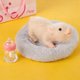 thumbnail image 5 of Bebé Cerdito Reborn Silicona Mascota Realista Tik Tok, 5 of 8