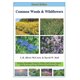 thumbnail image 1 of Common Weeds and Wildflowers - 2nd edition: Gardens, Roadsides, Pastures, Fields, Golf Courses, Sports Fields, Lawns, Crops, Ornamentals, Sod, 1 of 1