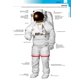 thumbnail image 2 of Diccionario Visual Merriam-Webster 2ª Edición, 2 of 7
