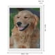 thumbnail image 2 of Golden Retriever Kits de Pintura de Diamantes para Adultos 5D DIY Diamond Art Kits Full Drill Diamond Dots para Regalo Decoración de Pared y Relajación Artes de Gemas 30*40cm, 2 of 6