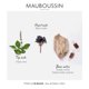 thumbnail image 4 of Perfume Mauboussin Pour Lui In Black, 100 ml, 4 of 6