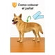 thumbnail image 5 of 120 Pañales Perros Macho Gatos Desechables Incontinencia M Blanco Macho M 55 X 20cm, 5 of 12