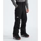 thumbnail image 2 of Pantalones de nieve The North Face Freedom impermeables para hombre, color negro, 2 of 7