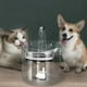 thumbnail image 2 of Fuente Bebedero Agua Gato Automatico Cuenco Fuente Rondon, 2 of 3