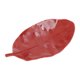 thumbnail image 1 of Bargains Únicos 1 Pc Jabón Plato Hoja Soporte para Jabón para Baño Rojo, 1 of 6
