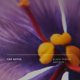 thumbnail image 4 of Perfume Future Society Haunted Rose Eau de Parfum, 50 ml, unisex, 4 of 8