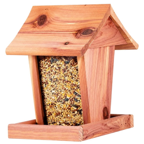 Alimentador para Pájaros Valley Splendor 20 cm × 15 cm × 22 cm