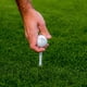thumbnail image 5 of Golf Tees Callaway Par Tee de plástico, 3.25 pulgadas, paquete de 4, 5 of 6