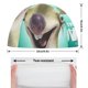 thumbnail image 2 of La era de hielo Gorro de Natación de Licra, Gorro de Baño de Tela Cómoda, Gorro Elástico Antideslizante para Hombres, Mujeres y Niños, 2 of 6