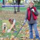 thumbnail image 4 of Pooper Scooper Twocorn con bandeja y rastrillo para perros (azul), 4 of 7